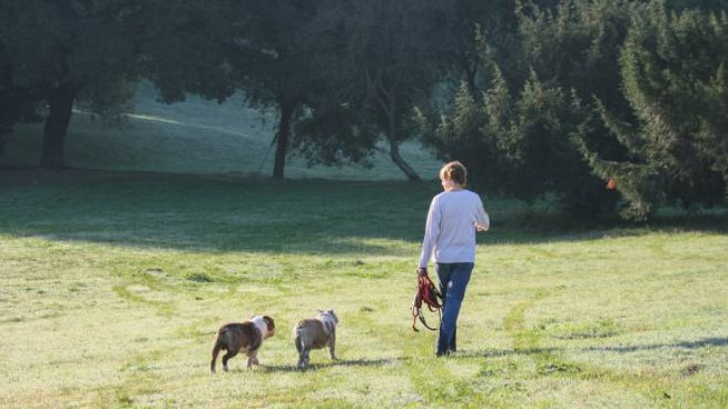 Nessun divieto di fare passeggiate ma viene raccomandato di evitarle