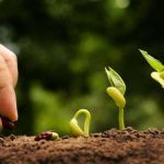 Sicilia aggrappata alla terra contro il Virus. Settore primario ossigeno per l’economia