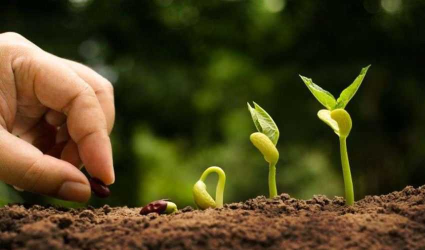 Sicilia aggrappata alla terra contro il Virus. Settore primario ossigeno per l’economia