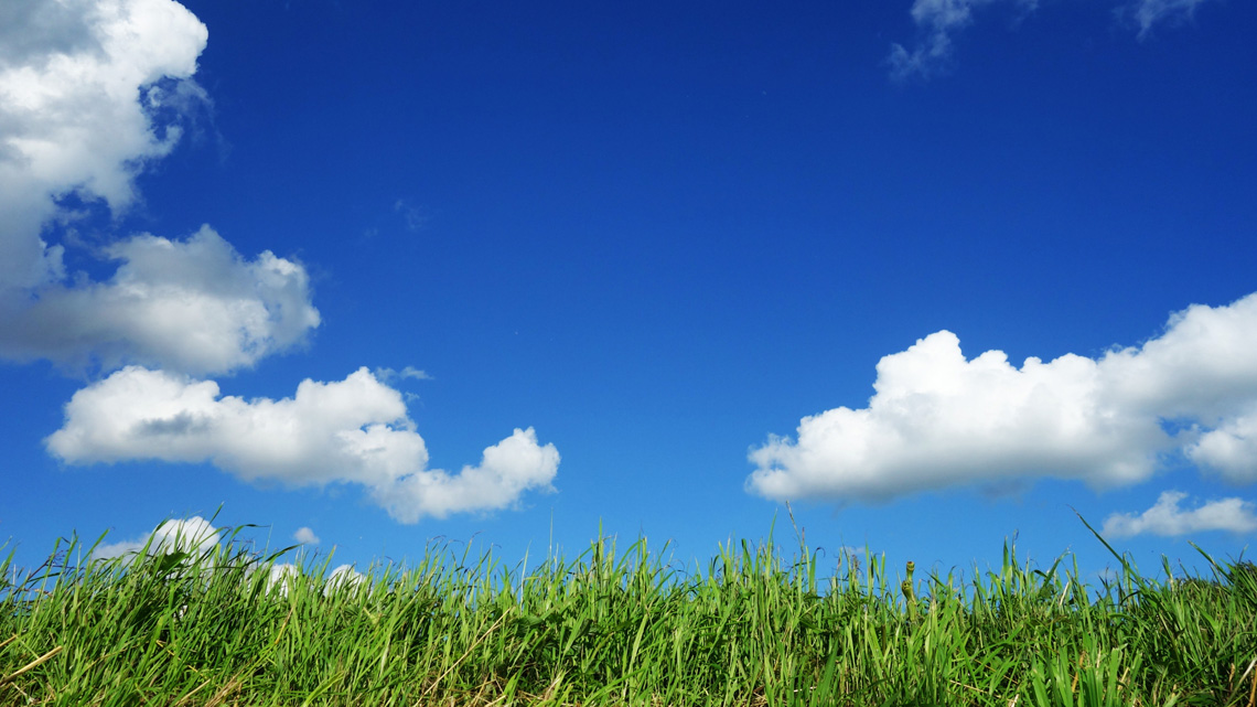 Ma il coronavirus ci fa (anche) respirare meglio. Traffico bloccato e in città c’è aria di campagna