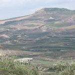 Nel terreno confiscato alla mafia la legalità rifiorirà su 17 mila viti