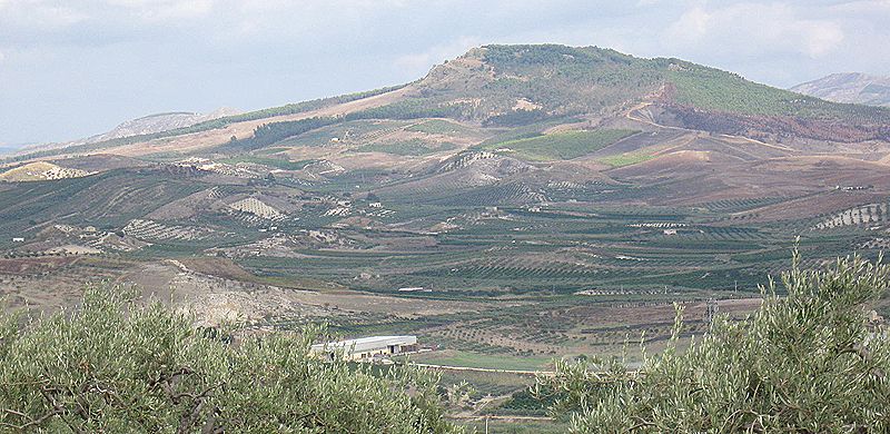 Nel terreno confiscato alla mafia la legalità rifiorirà su 17 mila viti