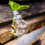 Rifiuti, al via online #ricicloincasa la campagna social del Ministero