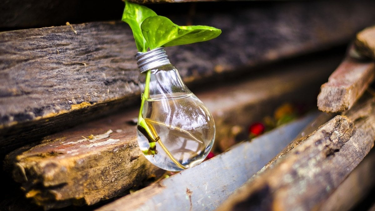 Rifiuti, al via online #ricicloincasa la campagna social del Ministero