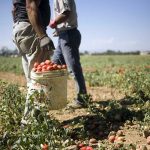 Coronavirus, una raccolta fondi per sostenere gli agricoltori promossa da ASeS-Agricoltori Solidarietà e Sviluppo