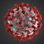 Ricerca, scoperte 40 molecole potenzialmente utili a sconfiggere il Coronavirus