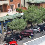 Segnalazione whatsapp del 12:29 26/03/2020