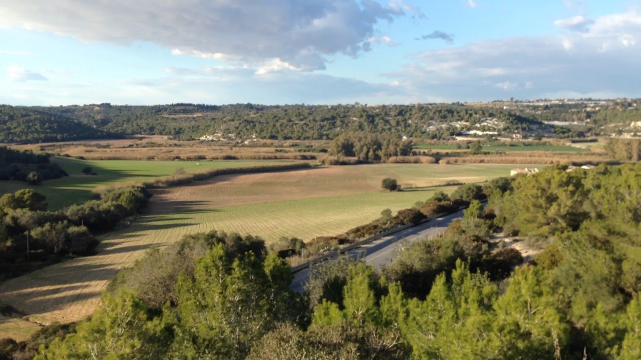 Riserva Pino d’Aleppo di Vittoria, progetto recupero