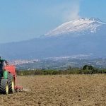 Coronavirus, Agricoltura, calano le vendite ed è crisi di manodopera
