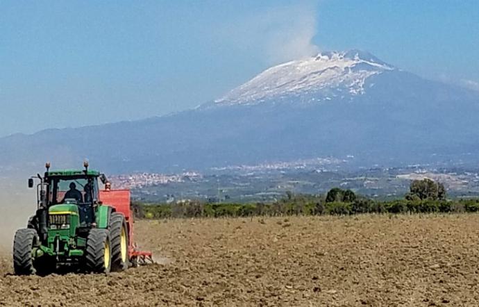 Coronavirus, Agricoltura, calano le vendite ed è crisi di manodopera