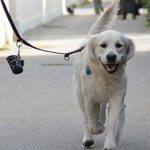 Coronavirus e mobilità tra realtà ed eccessi