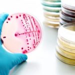 Ricerca, nuove speranze per combattere le leucemie