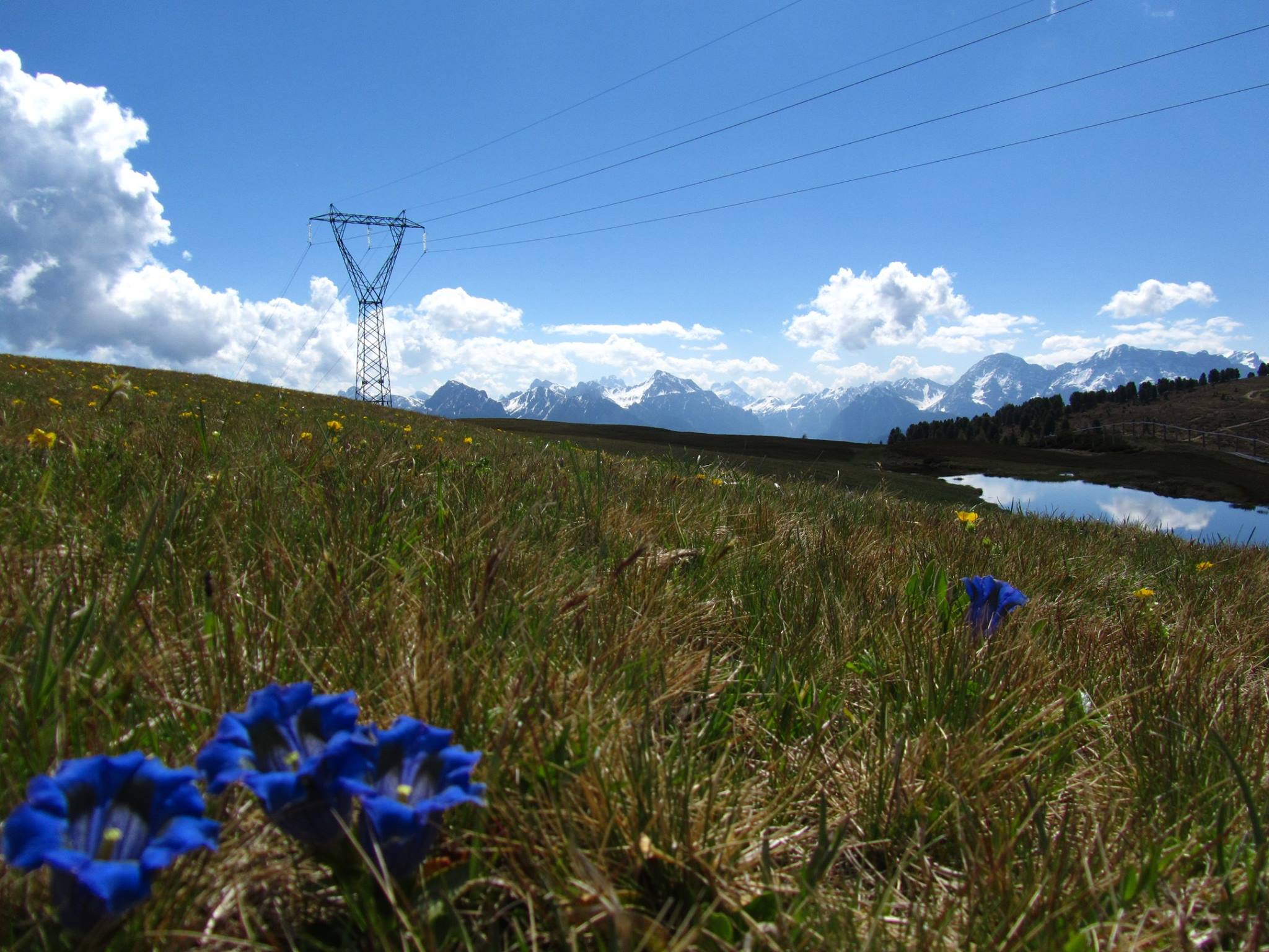 Terna aggiudica due gare, diecimila lavoratori per tre anni