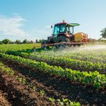 Agrigento, anche il settore agricolo rischia il collasso