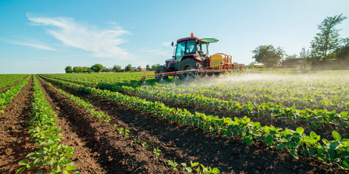 Agrigento, anche il settore agricolo rischia il collasso