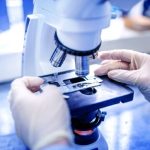 Melanoma, così una proteina lo nasconde al sistema immunitario