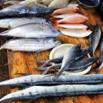 Palermo, si cercano soluzioni per il mercato ittico