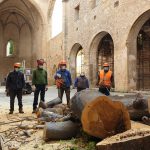 Palermo, abbattuto lo storico albero nella chiesa dello Spasimo
