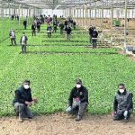 Giovani agricoltori, Coldiretti, “+8% in ultimi cinque anni”