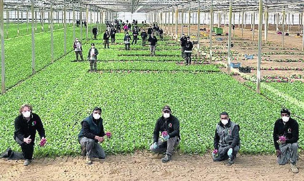 Giovani agricoltori, Coldiretti, “+8% in ultimi cinque anni”