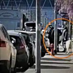 Coronavirus, Palermo, a passeggio con … la pecora