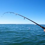 Segnalazione whatsapp del 12:52 15/04/2020