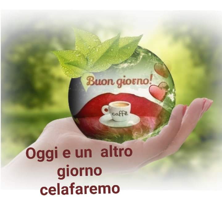 Segnalazione whatsapp del 12:44 21/04/2020