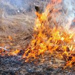 San Gregorio, ordinanza contro il rischio incendi