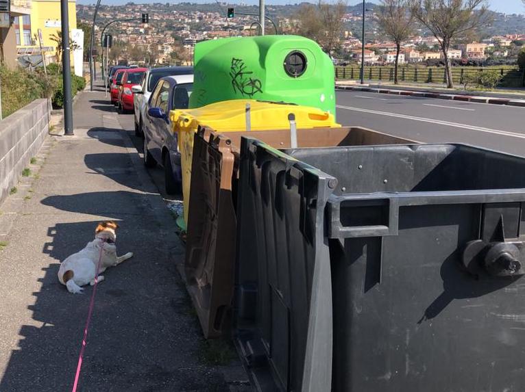 Catania, da Nesima a Ognina, addio cassonetti. Si estende la raccolta “porta a porta”