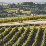 Turismo, la Valdichiana Senese punta sui social network