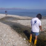 Biodiversità, l’Ue prepara il libro dei sogni, ma la Sicilia deve prima uscire dagli incubi