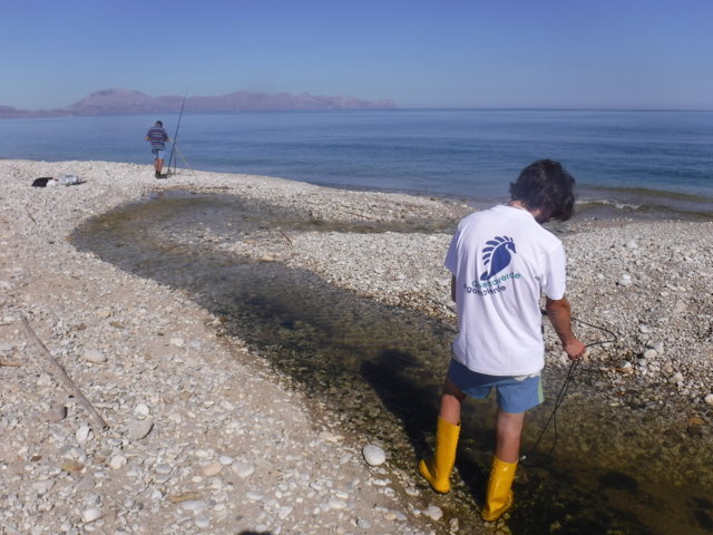 Biodiversità, l’Ue prepara il libro dei sogni, ma la Sicilia deve prima uscire dagli incubi