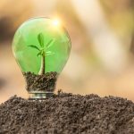 Energie rinnovabili, Sicilia senza vento in poppa. Quest’anno falliremo l’obiettivo fissato dal Mise