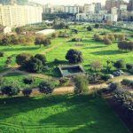 Palermo, luce in fondo al tunnel per il parco Cassarà