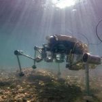 Un granchio robot per esplorare i fondali marini