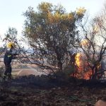 Prevenzione incendi, ordinanza per pulizia dei fondi incolti