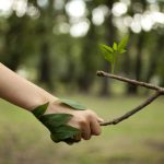 Progetto Greenland, da economia circolare lavoro per donne e “neet”