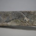 Un’antica ancora nei fondali di San Vito lo Capo