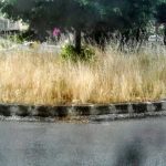 MessinaServizi nel mezzo della bufera