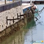 Mareamico, il “marrobbio” a San Leone di Agrigento?