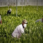 Migranti, in netto calo la loro presenza in tutt’Italia