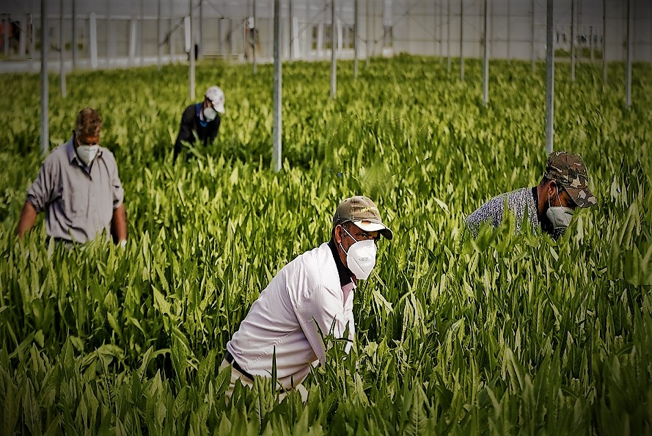 Migranti, in netto calo la loro presenza in tutt’Italia