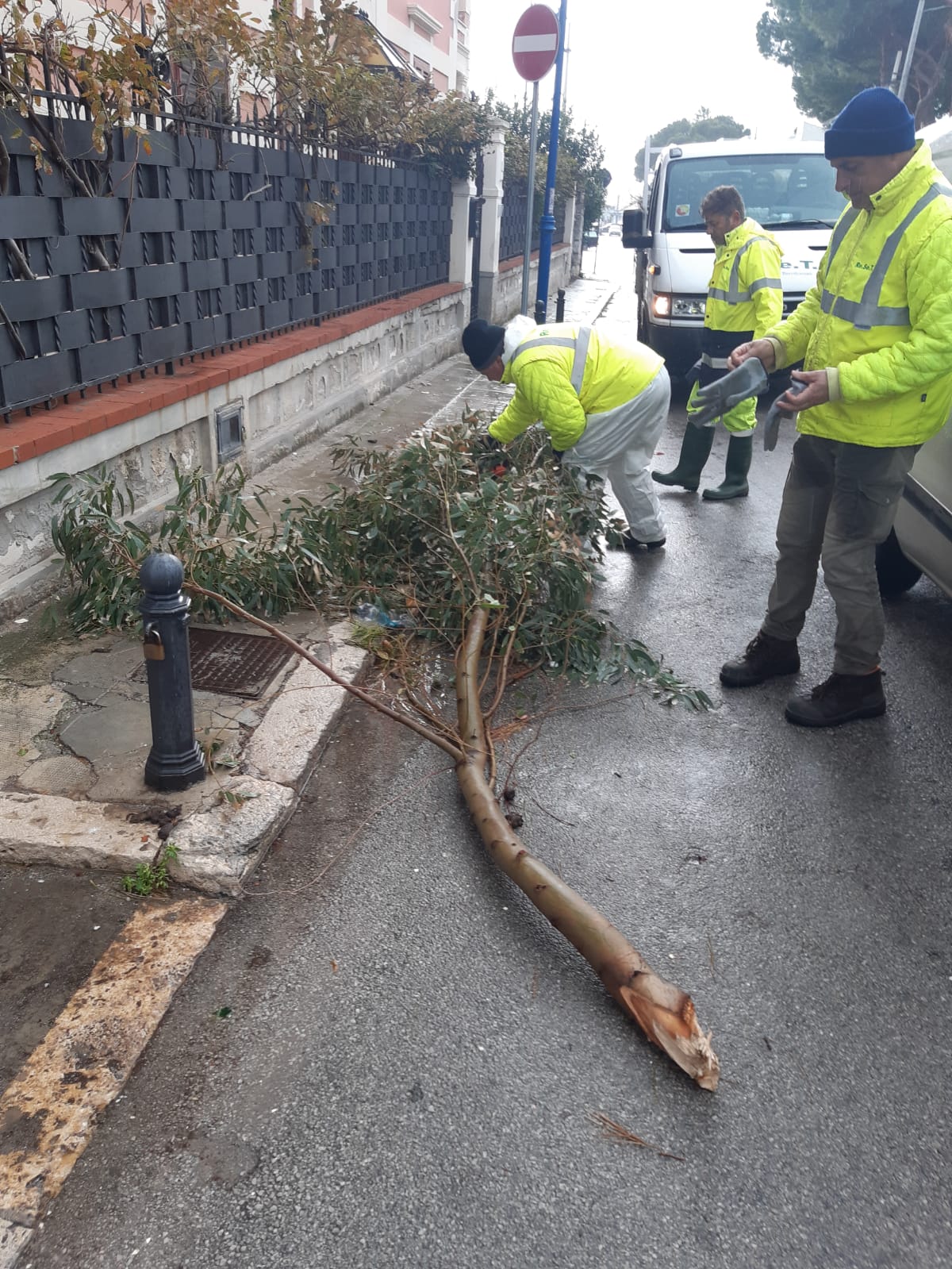 Società partecipate Palermo, Reset avvia procedure per Cassa integrazione