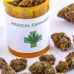 Utilizzo terapeutico dei farmaci cannabioidi per trattare i sintomi della Sclerosi multipla