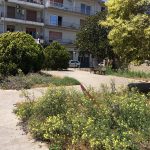 Ragusa, incendi e manutenzione del verde