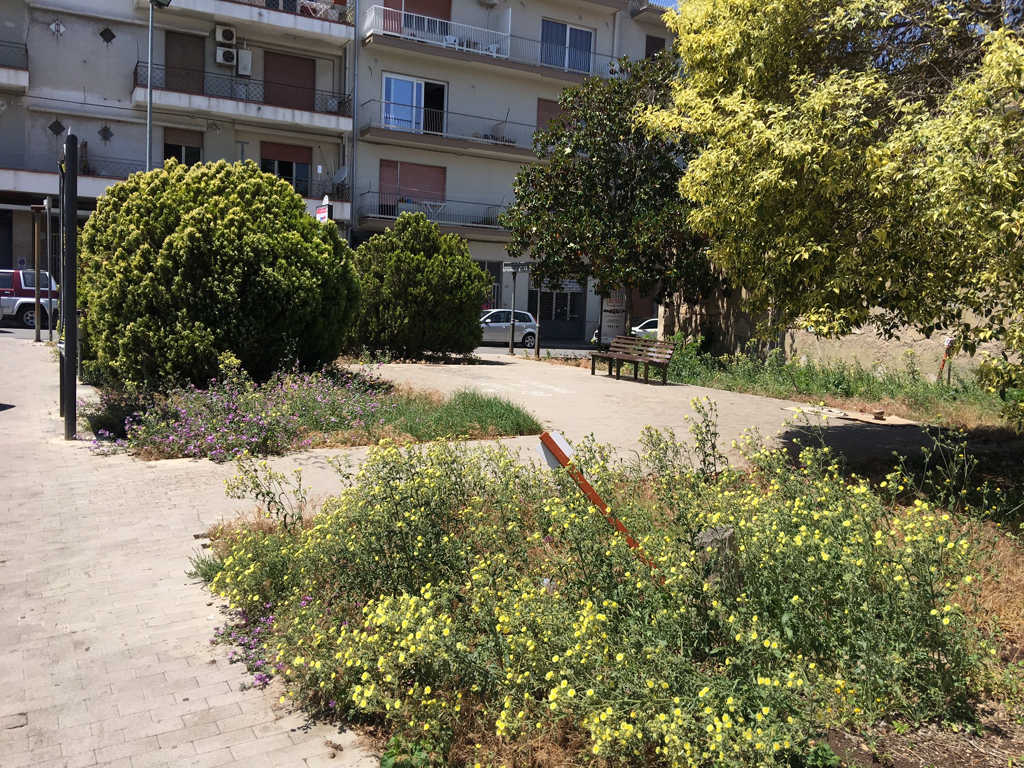 Ragusa, incendi e manutenzione del verde