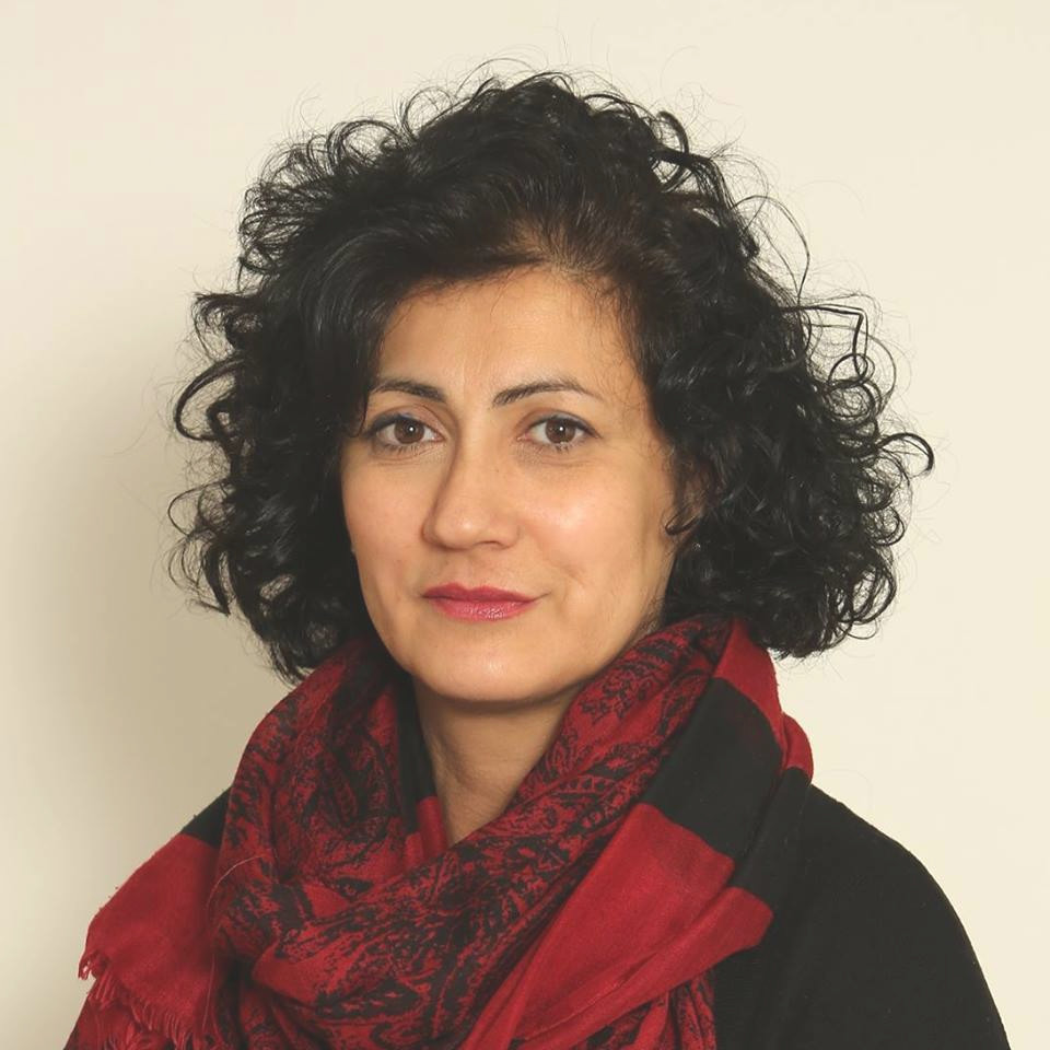 Zone franche montane in Sicilia, Ddl incardinato in Senato