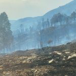 Castellammare, in fumo macchia mediterranea