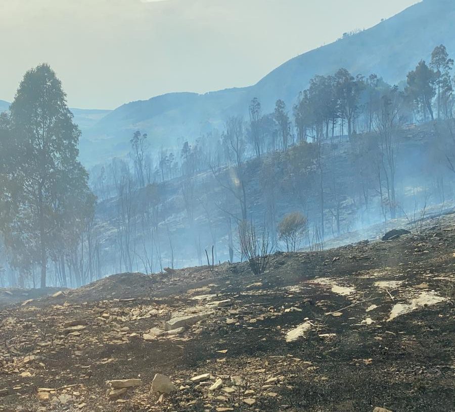 Castellammare, in fumo macchia mediterranea