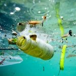 Cemento abusivo e mare inquinato, l’assalto criminale alle coste siciliane